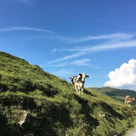 Marlenca 2 * Arosa